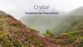  Presentation with summer time - Theme having rhododendron-flowers-covered-mountains-meadow background and a sky blue colored foreground