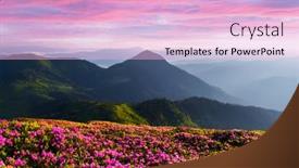  Presentation with summer time - Slide set with rhododendron-flowers-covered-mountains-meadow background and a lemonade colored foreground