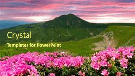  Presentation with summer time - Presentation having rhododendron-flowers-covered-mountains-meadow background and a tawny brown colored foreground