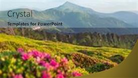 Presentation with summer flowers - Cool new presentation theme with rhododendron-flowers-covered-mountains-meadow backdrop and a light blue colored foreground