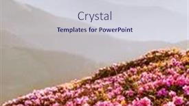  Presentation with summer time - Slides with rhododendron-flowers-covered-mountains-meadow background and a sky blue colored foreground