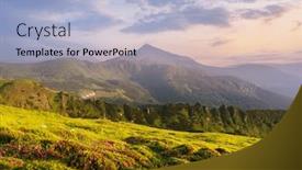  Presentation with purple flowers - Slide set consisting of rhododendron-flowers-covered-mountains-meadow background and a light blue colored foreground