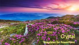  Presentation with blooming lotus flower of pink - Beautiful PPT theme featuring pink rhododendron flowers on summer backdrop and a tawny brown colored foreground