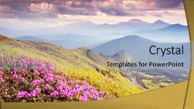  Presentation with purple orchids pink flowers orchid - Colorful slide deck enhanced with rhododendron flowers on summer mountain backdrop and a light blue colored foreground