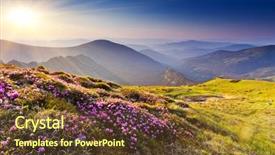  Presentation with pink flowers - Presentation design having rhododendron flowers on summer mountain background and a tawny brown colored foreground