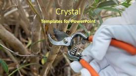  Presentation with gardening - Theme consisting of rhododendron-gardener-examines-and-cuts background and a tawny brown colored foreground