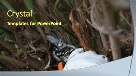  Presentation with gardening - Presentation theme consisting of rhododendron-gardener-examines-and-cuts background and a tawny brown colored foreground