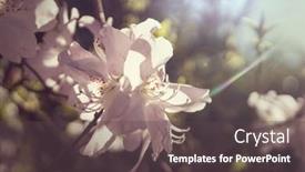  Presentation with botanical - Presentation design with rhododendron-in-the-botanical-garden background and a dark gray colored foreground