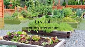  Presentation with community garden - Audience pleasing slides consisting of lush and organic community vegetable backdrop and a yellow colored foreground