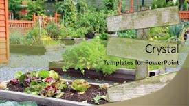  Presentation with vegetable garden - Beautiful PPT theme featuring vegetable garden with a blank wooden sign add your own text backdrop and a yellow colored foreground