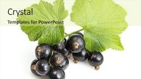  Presentation with blackcurrant - PPT theme consisting of how much restaurant bill bank card wallet coins near cup of coffee on light stone table top view background and a light gray colored foreground.