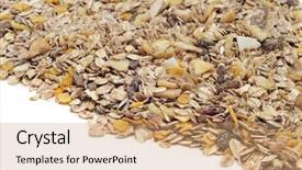  Presentation with muesli - Slide set consisting of wearing bow tie lying down background and a light gray colored foreground