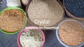  Presentation with rice plant - Audience pleasing PPT theme consisting of rice buckwheat oats lentils chickpea backdrop and a coral colored foreground