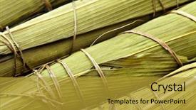  Presentation with dragon boat - PPT theme consisting of september 2016 calendar isolated on white background background and a light gray colored foreground