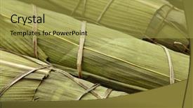  Presentation with dragon boat - Colorful slide set enhanced with rice dumpling for dragon boat backdrop and a yellow colored foreground