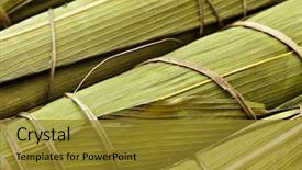  Presentation with dragon boat - Slides having rice dumpling for dragon boat background and a gold colored foreground