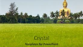  Presentation with carabao in rice field - Amazing PPT layouts having rice field and wat muang giant buddha in angthong province thailand backdrop and a gold colored foreground