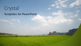  Presentation with rice field - PPT theme consisting of rice-field-at-sunny-day background and a light blue colored foreground