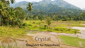  Presentation with rice field - Presentation with rice-field-at-sunset background and a yellow colored foreground