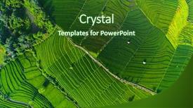  Presentation with bali culture - Cool new slides with rice field bali indonesia backdrop and a forest green colored foreground