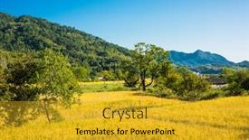  Presentation with rice field - PPT layouts featuring rice-field-in-huangshan-china background and a gold colored foreground