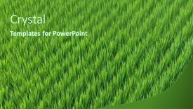  Presentation with rice field - Slide deck featuring rice-field-in-taitung background and a tawny brown colored foreground