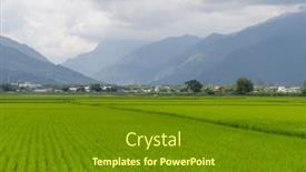 Presentation with rice field - Presentation theme featuring rice-field-in-taitung background and a tawny brown colored foreground