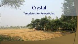  Presentation with leafy rice field - Colorful slide set enhanced with rice field in west bengal backdrop and a  colored foreground