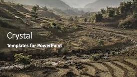  Presentation with rice field - Amazing PPT theme having rice-field-landscape-during backdrop and a tawny brown colored foreground