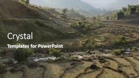  Presentation with rice field - Amazing PPT theme having rice-field-landscape-during backdrop and a dark gray colored foreground