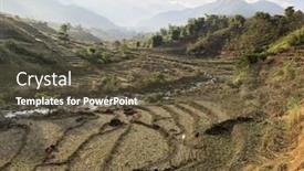  Presentation with rice field - Presentation design consisting of rice-field-landscape-during background and a tawny brown colored foreground