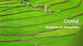  Presentation with rice terraces - Presentation theme enhanced with rice field terraces near sapa background and a shamrock green colored foreground