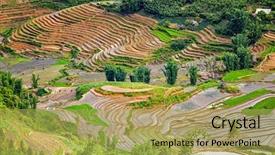  Presentation with trekking - Cool new presentation theme with terraces rice paddy fields near backdrop and a yellow colored foreground