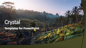  Presentation with rice fields - Presentation theme with rice fields at sunrise near background and a dark gray colored foreground