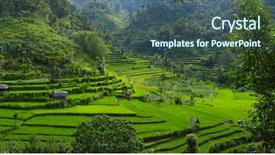  Presentation with rice fields - Audience pleasing presentation theme consisting of rice fields in a mountain backdrop and a ocean colored foreground