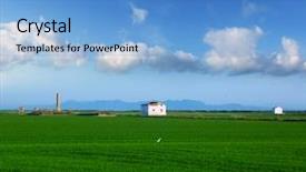  Presentation with rice husk from green starts - PPT theme consisting of rice fields in el saler background and a light blue colored foreground