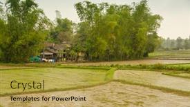  Presentation with rice fields - Beautiful slide set featuring render of an exercise bike backdrop and a royal blue colored foreground
