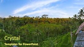  Presentation with rice fields - Audience pleasing PPT theme consisting of rice-fields-jatiluwih-on-bali backdrop and a tawny brown colored foreground