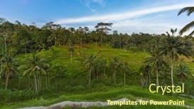  Presentation with rice fields - Theme enhanced with rice-fields-jatiluwih-on-bali background and a tawny brown colored foreground