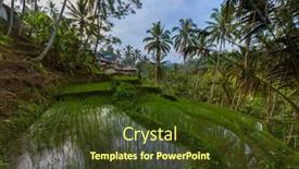 Presentation with rice fields - PPT layouts with rice-fields-jatiluwih-on-bali background and a tawny brown colored foreground