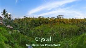  Presentation with rice fields - Audience pleasing slide set consisting of rice-fields-jatiluwih-on-bali backdrop and a tawny brown colored foreground