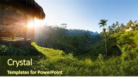  Presentation with rice fields - Presentation featuring rice fields near the city background and a tawny brown colored foreground