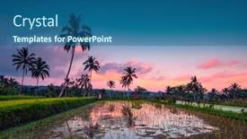  Presentation with rice fields - PPT layouts with rice fields of bali amazing landscape of a rice terrace in the water over beautiful pink sunset background background and a ocean colored foreground
