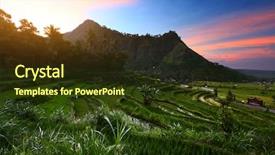  Presentation with rice field - Beautiful presentation design featuring rice fields of bali island backdrop and a tawny brown colored foreground