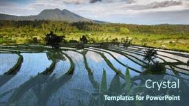  Presentation with rice fields - Presentation theme with rice fields of bali island indonesia background and a ocean colored foreground