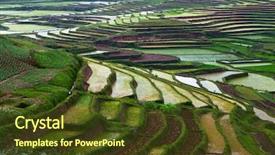  Presentation with rice fields - Presentation design featuring rice fields of madagascar background and a tawny brown colored foreground