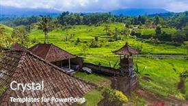 Presentation with rice fields - Cool new PPT theme with rice fields on bali island backdrop and a tawny brown colored foreground
