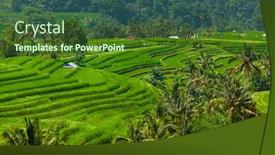  Presentation with rice fields - Audience pleasing PPT layouts consisting of rice-fields-on-bali-island backdrop and a tawny brown colored foreground