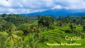  Presentation with rice fields - Audience pleasing slides consisting of rice-fields-on-bali-island backdrop and a tawny brown colored foreground