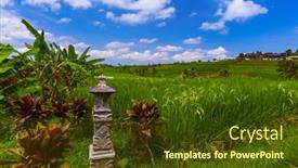  Presentation with rice fields - Beautiful slide set featuring rice-fields-on-bali-island backdrop and a tawny brown colored foreground